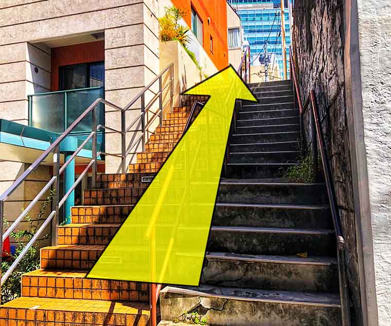 تقاطع كيتا-شيبويا